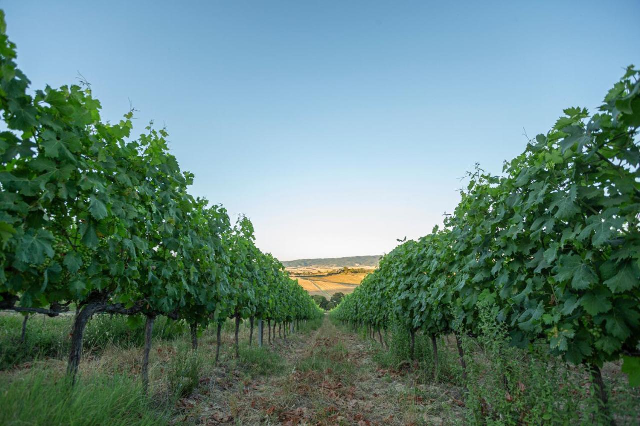 Agriturismo Cappellese Castelnuovo della Misericordia Eksteriør billede