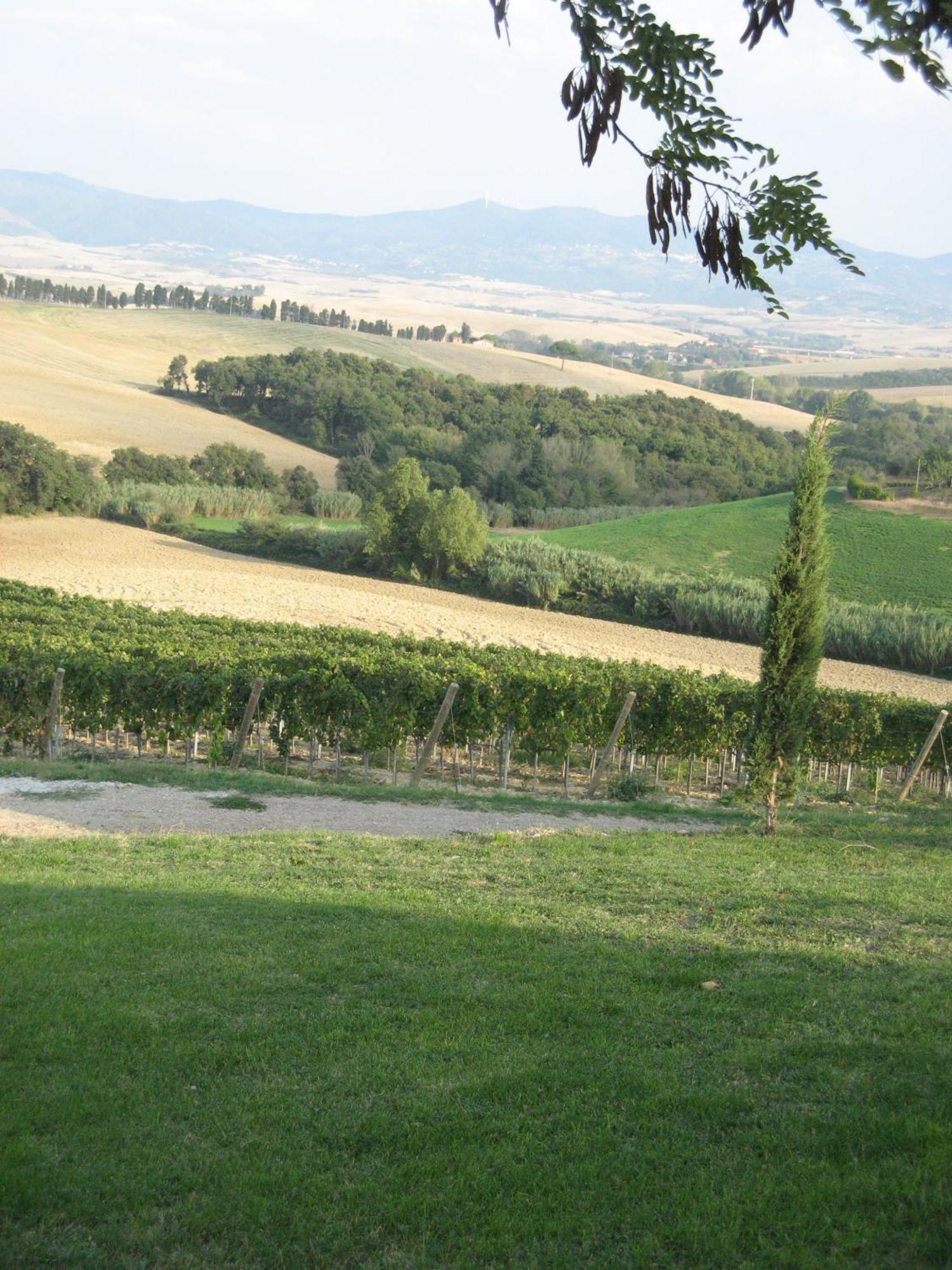 Agriturismo Cappellese Castelnuovo della Misericordia Eksteriør billede