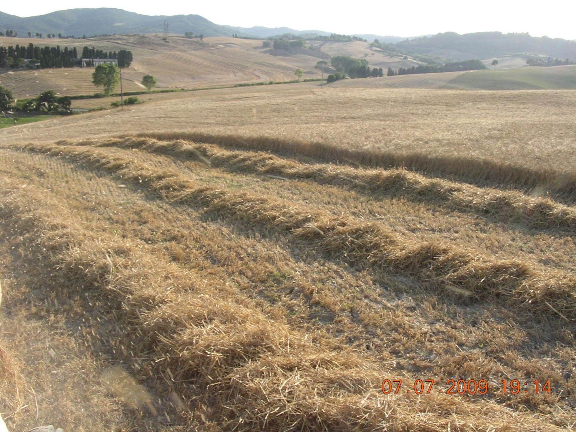 Agriturismo Cappellese Castelnuovo della Misericordia Eksteriør billede